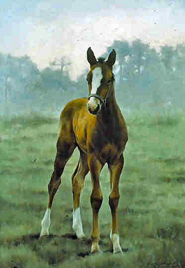 The Young Aristocrat  - Thoroughbred Foal by Jeanne Filler Scott