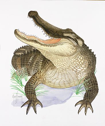 Gator - Aligator by Guy Harvey
