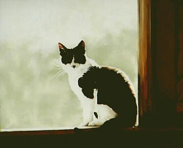 Sitting in the Window of the Barn - Domestic Cat by Janet Heaton