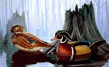 A New Beginning - Wood Ducks by Robert Kray