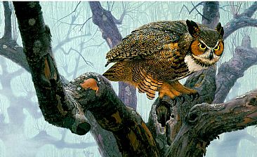 Orchard Tiger - Great Horned Owl by Robert Kray