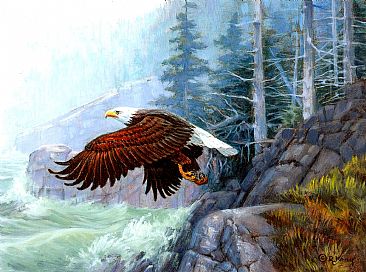 Shore Patrol - Bald Eagle by Robert Kray