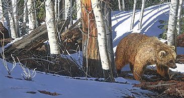 BREAKING THE SILENCE - Bear, Hidden Animals by Judy Larson