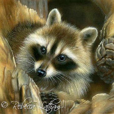 Masked Mischief - Raccoon - Raccoon by Rebecca Latham