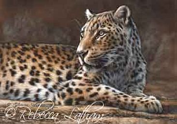 Asian Leopard - Leopard by Rebecca Latham