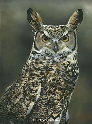 Phantom Gaze - Great Horned Owl by Rebecca Latham