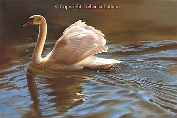 Ivory Glow - Mute Swan - Mute Swan by Rebecca Latham