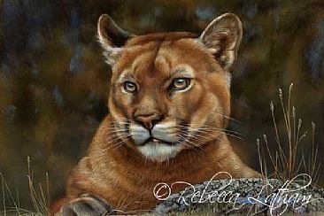 The Overseer - Cougar - Cougar by Rebecca Latham