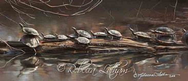 Turtle Jam - Turtles by Rebecca Latham