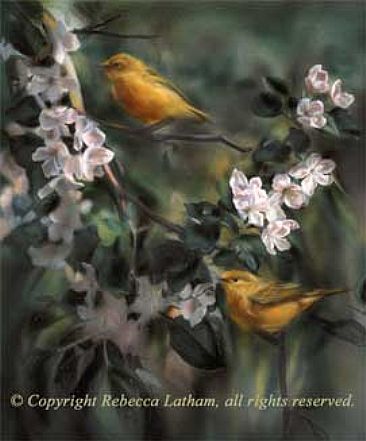 Warblers & Blossoms - Yellow Warblers by Rebecca Latham