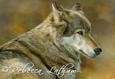 Defensive - Wolf by Rebecca Latham