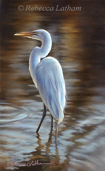 Great Egret - Great Egret by Rebecca Latham