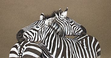Opposing Views - Zebras by Esther Lidstrom