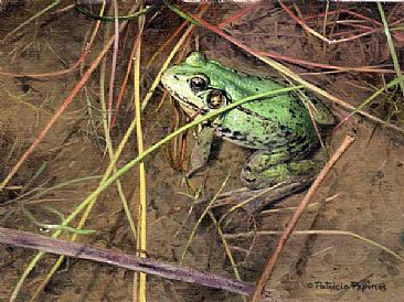 Esmeralda - Frog by Patricia Pepin