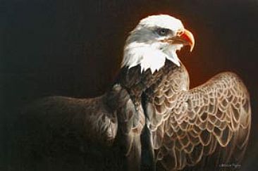 Glowing eagle - eagle by Patricia Pepin