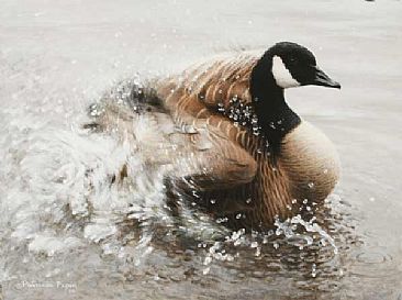 Ablution - Goose by Patricia Pepin