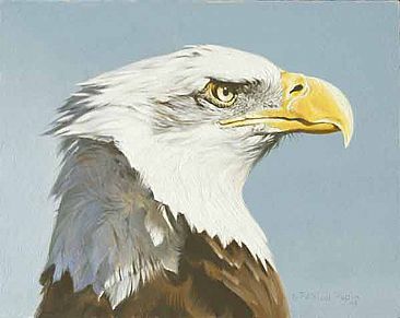 Back wind - Eagle by Patricia Pepin
