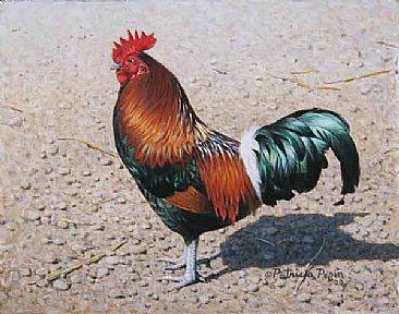 Bantam rooster - Rooster by Patricia Pepin