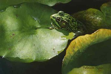 Between the Leaves - Frog by Patricia Pepin