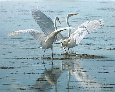 Chase and Ruffle - White egret by Patricia Pepin