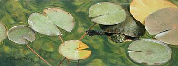 Curious Turtle - Turtle by Patricia Pepin