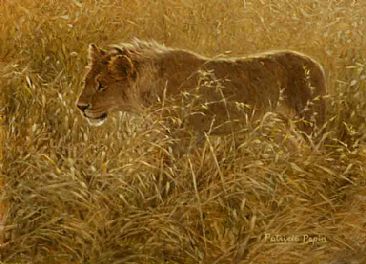 Golden Lion - Lion by Patricia Pepin