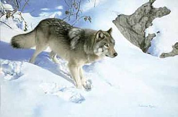 New snow 2 - Wolf by Patricia Pepin