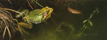 Pond Warden - Green frog by Patricia Pepin