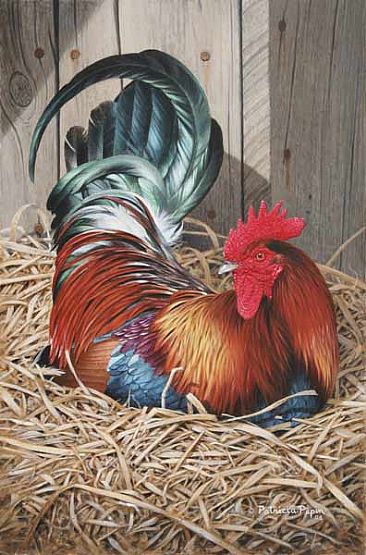 Resting Rooster - Rooster by Patricia Pepin