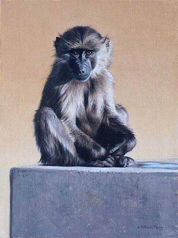 Sitting on the cistern - Baboon by Patricia Pepin