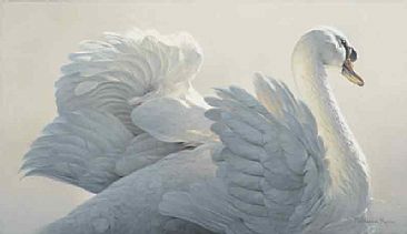 Swan - Swan by Patricia Pepin