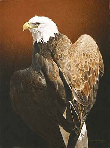 Touch of Light - Eagle by Patricia Pepin