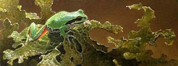Pacific tree Frog in Lungwort Lichen - Frog by Patricia Pepin