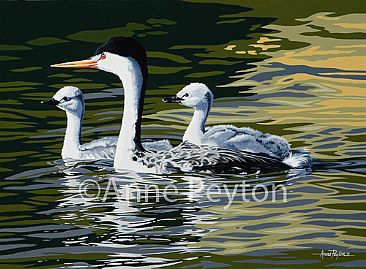 Nice Little Family - Clark's Grebes by Anne Peyton