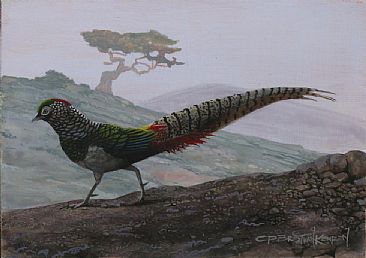 LAST OF THE AMHERSTS - Lady Amherst's Pheasant by Carel Brest van Kempen