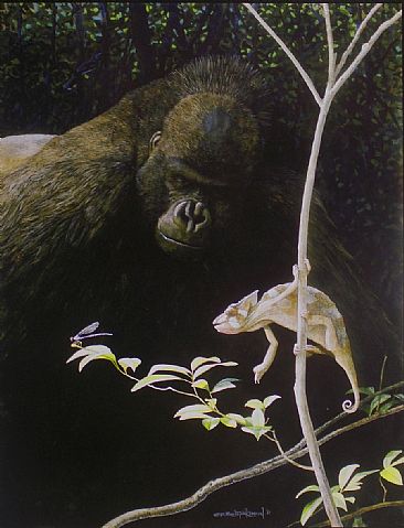 BIOPHILIA--CRESTED CHAMELEON & WESTERN LOWLAND GORILLA - Chameleon/Gorilla by Carel Brest van Kempen