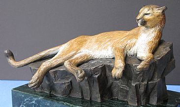 Chairman of the Board - Mountain Lion by Stephen Quinn