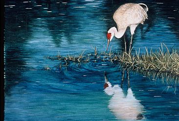 Reflections - Sandhill Crane by Cindy Gage