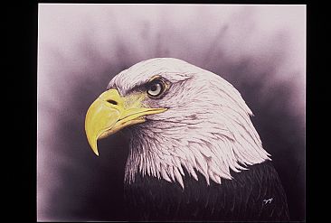 Eagle Eye - Bald Eagle by Cindy Gage