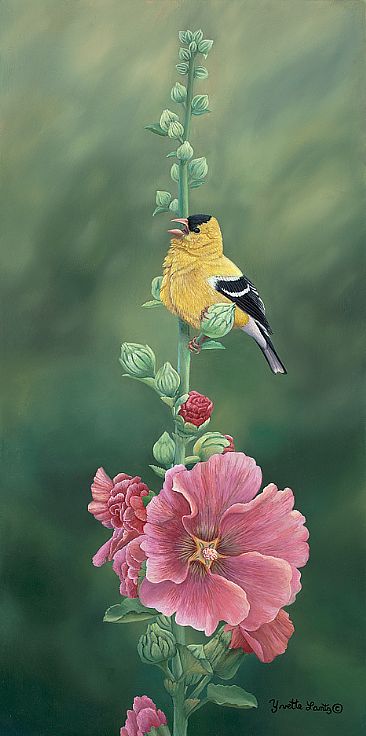 Goldfinch and Hollyhock - Goldfinch by Yvette Lantz