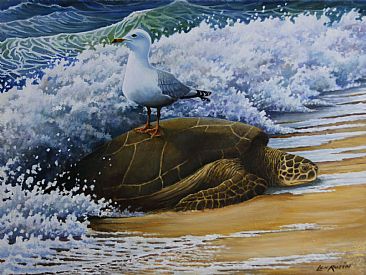 Free Ride - Loggerhead Turtle and Ring-billed Gull by Len Rusin