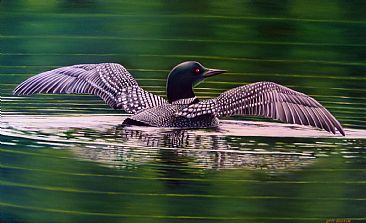 Circle Reflection - loon by Len Rusin