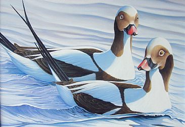 A Pair of Long Tails - Oldsquaws or Long tailed duck by Len Rusin