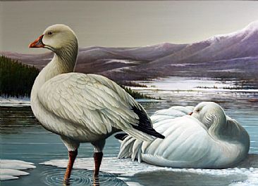 Frigid Morn - Ross Geese by Len Rusin