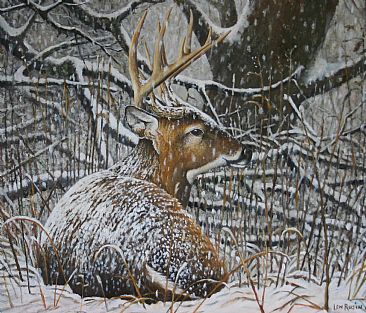 The Old Buck Stops Here - Whitetail deer by Len Rusin