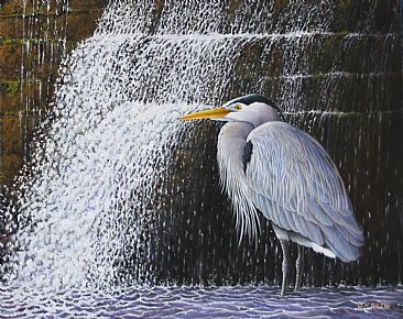 Keeper of the Falls - great Blue Heron by Len Rusin