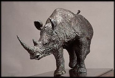The Rhino - Rhinoceros by Mary Taylor
