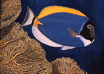 Blue Surgeon Fish - Blue Surgeon Fish and Fan Coral by Linda Parkinson