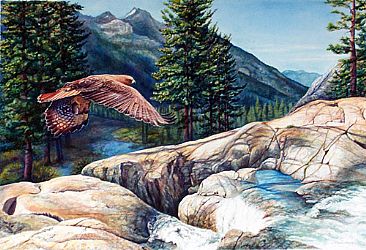 Heading Home - Red Tail Hawk, Trinity Alps, California by Linda Parkinson