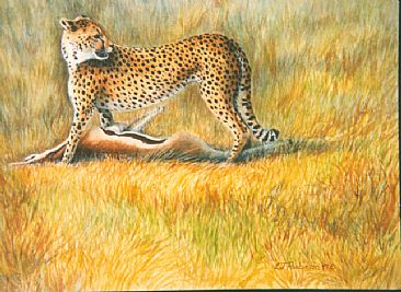 A Watchful Eye - Cheetah by Linda Parkinson